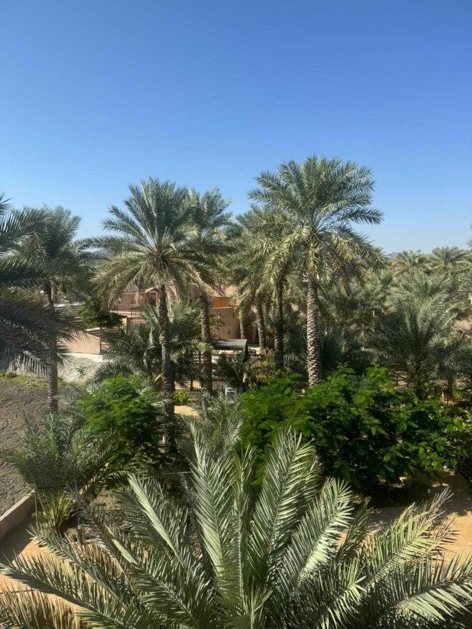 Jawharat Alaqar Inn نزل جوهرة العقر Nizva Dış mekan fotoğraf